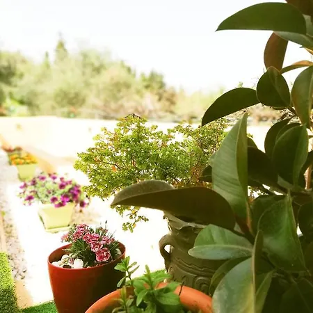 Villart Eleni Holiday home
